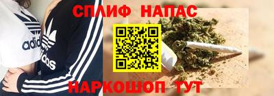 бошки Дубна
